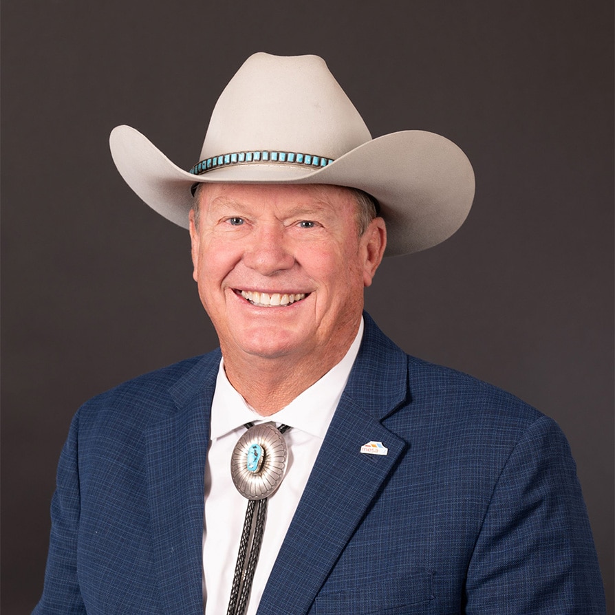 Mark Freeman, Mesa Mayor